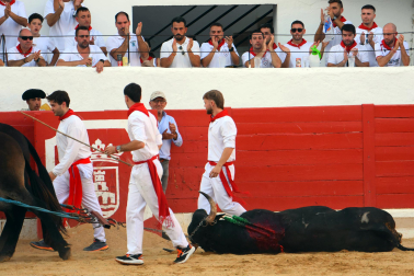 Toros de José Cruz para los diestros Cristian González, Nacho Torrejón y Mario Vilau en la novillada del 3 de septiembre de 2026 durante las fiestas de la localidad
