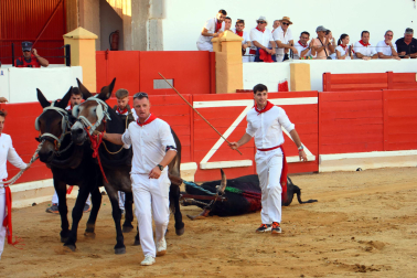 Toros de José Cruz para los diestros Cristian González, Nacho Torrejón y Mario Vilau en la novillada del 3 de septiembre de 2026 durante las fiestas de la localidad