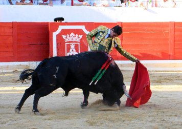 Toros de José Cruz para los diestros Cristian González, Nacho Torrejón y Mario Vilau en la novillada del 3 de septiembre de 2026 durante las fiestas de la localidad