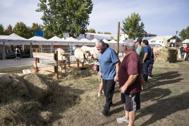 Fotos de los actos por el Privilegio de la Unión en Pamplona