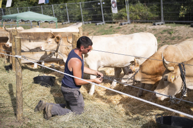 Fotos de los actos por el Privilegio de la Unión en Pamplona