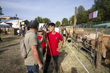 Fotos de los actos por el Privilegio de la Unión en Pamplona