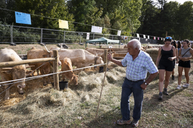 Fotos de los actos por el Privilegio de la Unión en Pamplona
