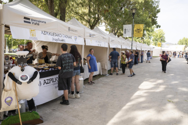 Fotos de los actos por el Privilegio de la Unión en Pamplona