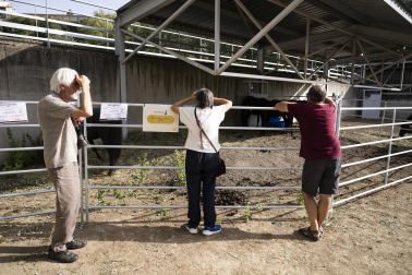 Fotos de los actos por el Privilegio de la Unión en Pamplona