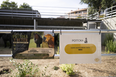Fotos de los actos por el Privilegio de la Unión en Pamplona