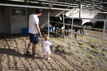 Fotos de los actos por el Privilegio de la Unión en Pamplona