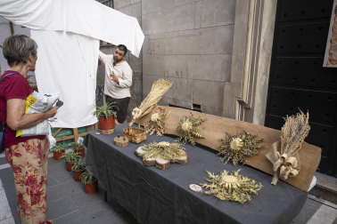Fotos de los actos por el Privilegio de la Unión en Pamplona