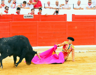 Novillada de fiestas de Peralta 2026 este sábado 5 de septiembre con toros de la ganadería de Juan Luis Fraile para los novilleros Mariscal Ruiz, Angelín y Julio Romero