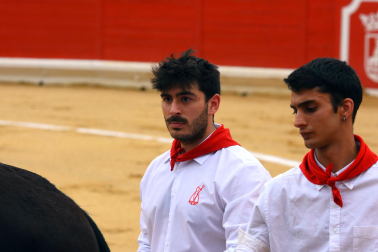 Novillada de fiestas de Peralta 2026 este sábado 5 de septiembre con toros de la ganadería de Juan Luis Fraile para los novilleros Mariscal Ruiz, Angelín y Julio Romero