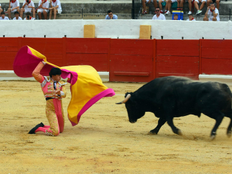 Novillada de fiestas de Peralta 2026 este sábado 5 de septiembre con toros de la ganadería de Juan Luis Fraile para los novilleros Mariscal Ruiz, Angelín y Julio Romero