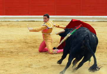Novillada de fiestas de Peralta 2026 este sábado 5 de septiembre con toros de la ganadería de Juan Luis Fraile para los novilleros Mariscal Ruiz, Angelín y Julio Romero