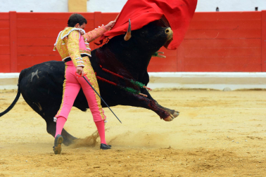 Novillada de fiestas de Peralta 2026 este sábado 5 de septiembre con toros de la ganadería de Juan Luis Fraile para los novilleros Mariscal Ruiz, Angelín y Julio Romero