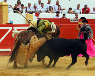 Novillada de fiestas de Peralta 2026 este sábado 5 de septiembre con toros de la ganadería de Juan Luis Fraile para los novilleros Mariscal Ruiz, Angelín y Julio Romero