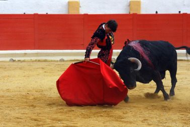 Novillada de fiestas de Peralta 2026 este sábado 5 de septiembre con toros de la ganadería de Juan Luis Fraile para los novilleros Mariscal Ruiz, Angelín y Julio Romero