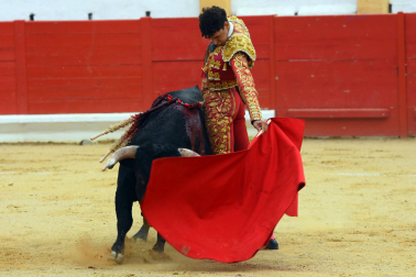 Novillada de fiestas de Peralta 2026 este sábado 5 de septiembre con toros de la ganadería de Juan Luis Fraile para los novilleros Mariscal Ruiz, Angelín y Julio Romero