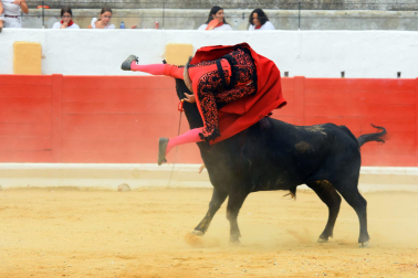 Novillada de fiestas de Peralta 2026 este sábado 5 de septiembre con toros de la ganadería de Juan Luis Fraile para los novilleros Mariscal Ruiz, Angelín y Julio Romero