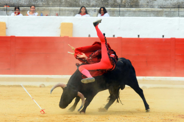 Novillada de fiestas de Peralta 2026 este sábado 5 de septiembre con toros de la ganadería de Juan Luis Fraile para los novilleros Mariscal Ruiz, Angelín y Julio Romero