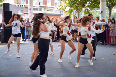 Fotos de la III Fiesta Solidaria de ADANO.