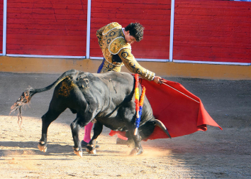 Aarón Navas y Pablo Hernández se enfrentaron a toros de José Luis Pascual en la novillada de fiestas de Fitero este domingo 13 de septiembre