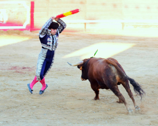 Toros de la Dehesa de Guadarrama para los novilleros forales Aarón Navas, Pablo Hernández y Pacho Jiménez en la novillada de fiestas de Sangüesa el 15 de septiembre