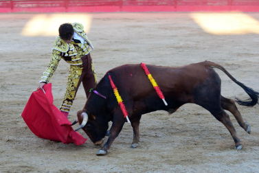 Toros de la Dehesa de Guadarrama para los novilleros forales Aarón Navas, Pablo Hernández y Pacho Jiménez en la novillada de fiestas de Sangüesa el 15 de septiembre