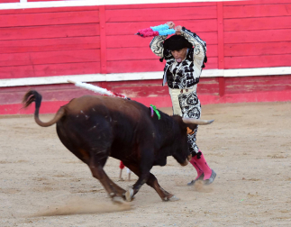 Toros de la Dehesa de Guadarrama para los novilleros forales Aarón Navas, Pablo Hernández y Pacho Jiménez en la novillada de fiestas de Sangüesa el 15 de septiembre