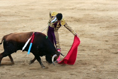 Toros de la Dehesa de Guadarrama para los novilleros forales Aarón Navas, Pablo Hernández y Pacho Jiménez en la novillada de fiestas de Sangüesa el 15 de septiembre