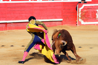 Toros de la Dehesa de Guadarrama para los novilleros forales Aarón Navas, Pablo Hernández y Pacho Jiménez en la novillada de fiestas de Sangüesa el 15 de septiembre