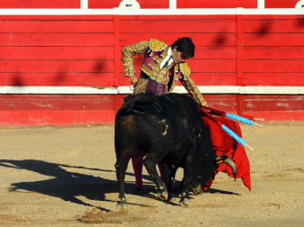 Toros de la Dehesa de Guadarrama para los novilleros forales Aarón Navas, Pablo Hernández y Pacho Jiménez en la novillada de fiestas de Sangüesa el 15 de septiembre