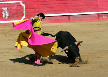 Novillada en Sangüesa con toros de José Luis Pascual para los diestros Aarón Navas y Jesús Mariano.
