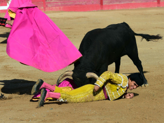 Novillada en Sangüesa con toros de José Luis Pascual para los diestros Aarón Navas y Jesús Mariano.