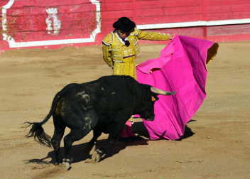 Novillada en Sangüesa con toros de José Luis Pascual para los diestros Aarón Navas y Jesús Mariano.
