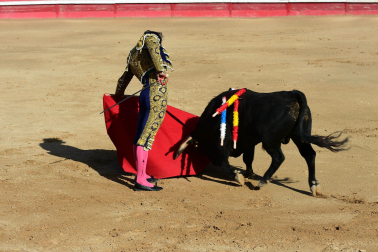 Novillada en Sangüesa con toros de José Luis Pascual para los diestros Aarón Navas y Jesús Mariano.