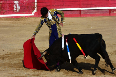 Novillada en Sangüesa con toros de José Luis Pascual para los diestros Aarón Navas y Jesús Mariano.