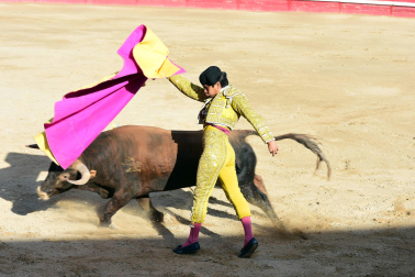 Novillada en Sangüesa con toros de José Luis Pascual para los diestros Aarón Navas y Jesús Mariano.