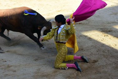 Novillada en Sangüesa con toros de José Luis Pascual para los diestros Aarón Navas y Jesús Mariano.