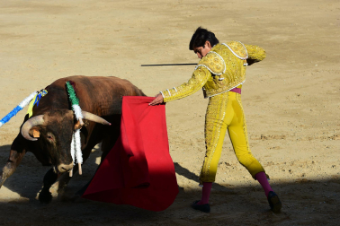 Novillada en Sangüesa con toros de José Luis Pascual para los diestros Aarón Navas y Jesús Mariano.