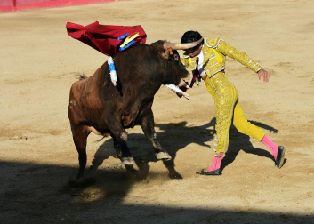 Novillada en Sangüesa con toros de José Luis Pascual para los diestros Aarón Navas y Jesús Mariano.