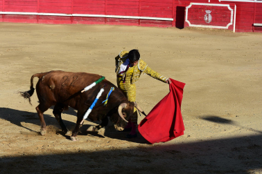 Novillada en Sangüesa con toros de José Luis Pascual para los diestros Aarón Navas y Jesús Mariano.