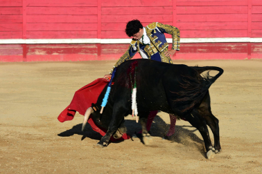 Novillada en Sangüesa con toros de José Luis Pascual para los diestros Aarón Navas y Jesús Mariano.