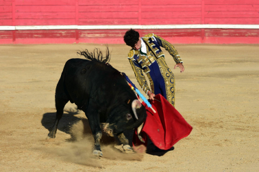 Novillada en Sangüesa con toros de José Luis Pascual para los diestros Aarón Navas y Jesús Mariano.