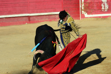 Novillada en Sangüesa con toros de José Luis Pascual para los diestros Aarón Navas y Jesús Mariano.
