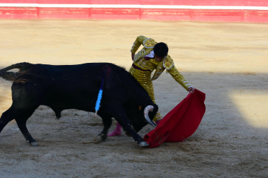 Novillada en Sangüesa con toros de José Luis Pascual para los diestros Aarón Navas y Jesús Mariano.