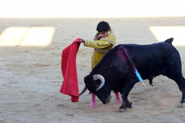 Novillada en Sangüesa con toros de José Luis Pascual para los diestros Aarón Navas y Jesús Mariano.