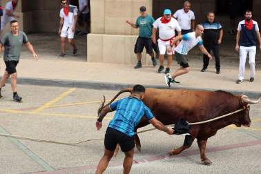 Multitudinario primer toro ensogado en las fiestas de Lodosa 2026 este viernes 18 de septiembre