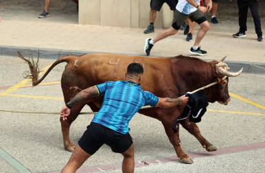 Multitudinario primer toro ensogado en las fiestas de Lodosa 2026 este viernes 18 de septiembre