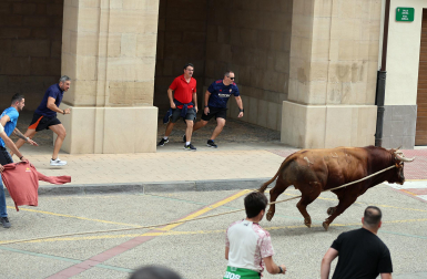 Multitudinario primer toro ensogado en las fiestas de Lodosa 2026 este viernes 18 de septiembre