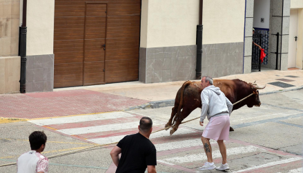 Multitudinario primer toro ensogado en las fiestas de Lodosa 2026 este viernes 18 de septiembre