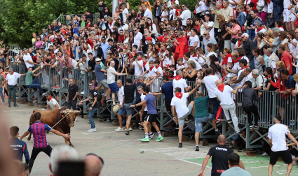 Multitudinario primer toro ensogado en las fiestas de Lodosa 2026 este viernes 18 de septiembre